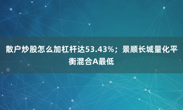 散户炒股怎么加杠杆达53.43%；景顺长城量化平衡混合A最低