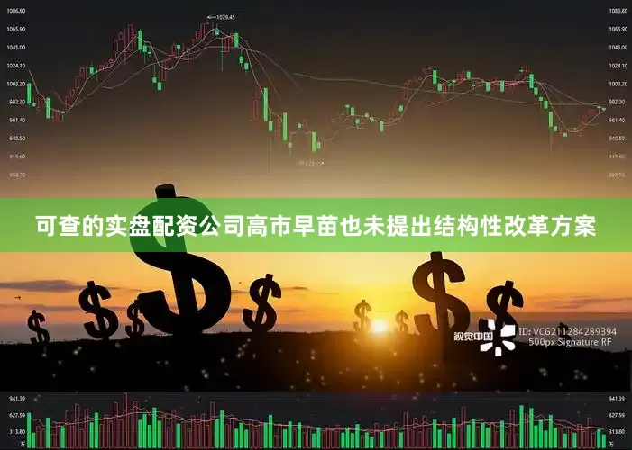 可查的实盘配资公司高市早苗也未提出结构性改革方案