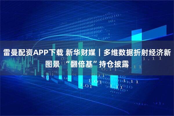 雷曼配资APP下载 新华财媒｜多维数据折射经济新图景  “翻倍基”持仓披露